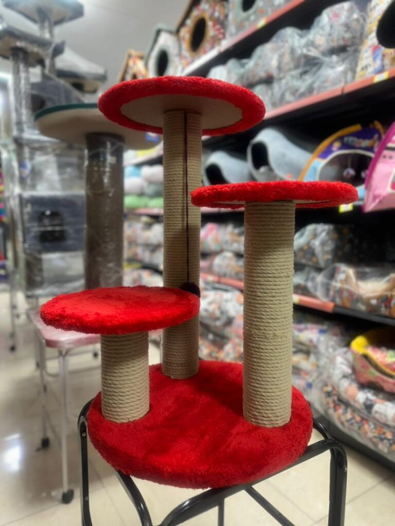 اسکرچر گربه، قد ۷۵ سانت