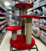 اسکرچر گربه، قد ۷۵ سانت